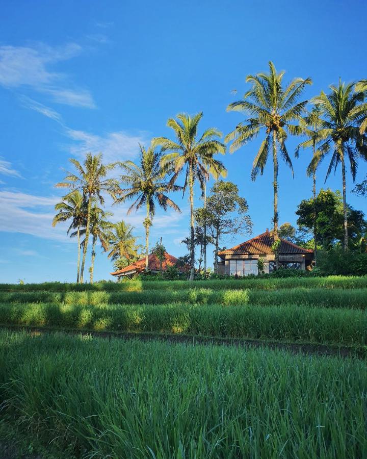 Hotel Sava Eco Retreat à Padangan  Extérieur photo