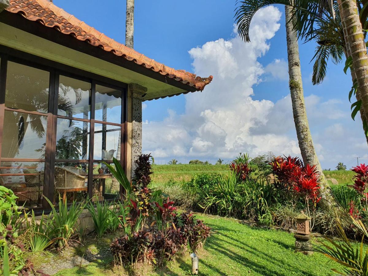 Hotel Sava Eco Retreat à Padangan  Extérieur photo