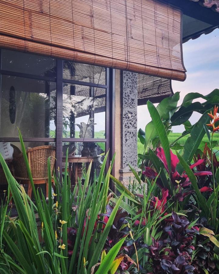 Hotel Sava Eco Retreat à Padangan  Extérieur photo