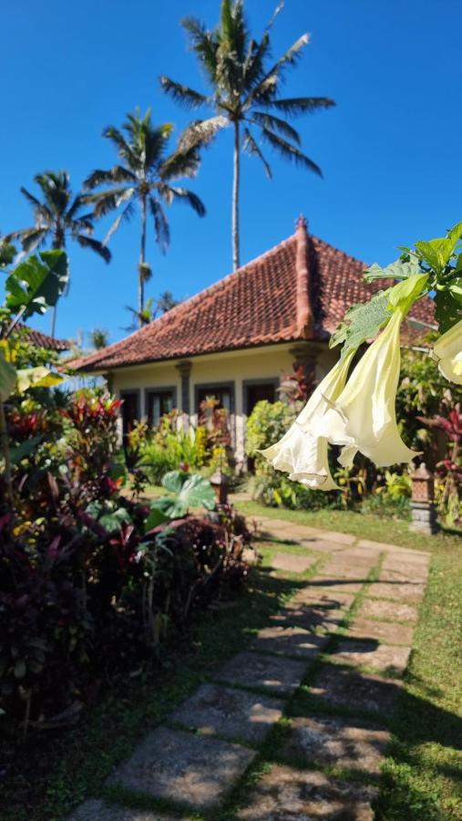 Hotel Sava Eco Retreat à Padangan  Extérieur photo
