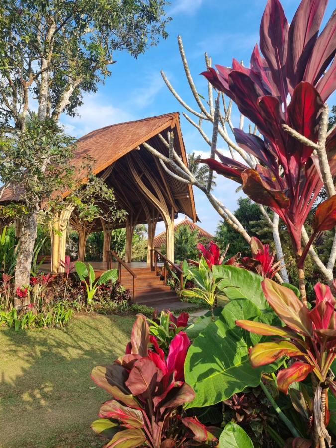 Hotel Sava Eco Retreat à Padangan  Extérieur photo