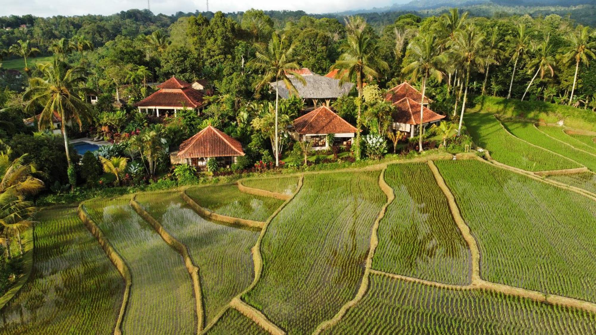 Hotel Sava Eco Retreat à Padangan  Extérieur photo